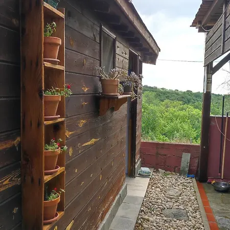 Appartement μονόχωρος με αυλή Vrasná