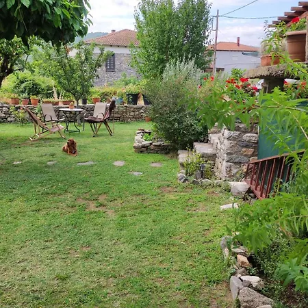 Appartement μονόχωρος με αυλή